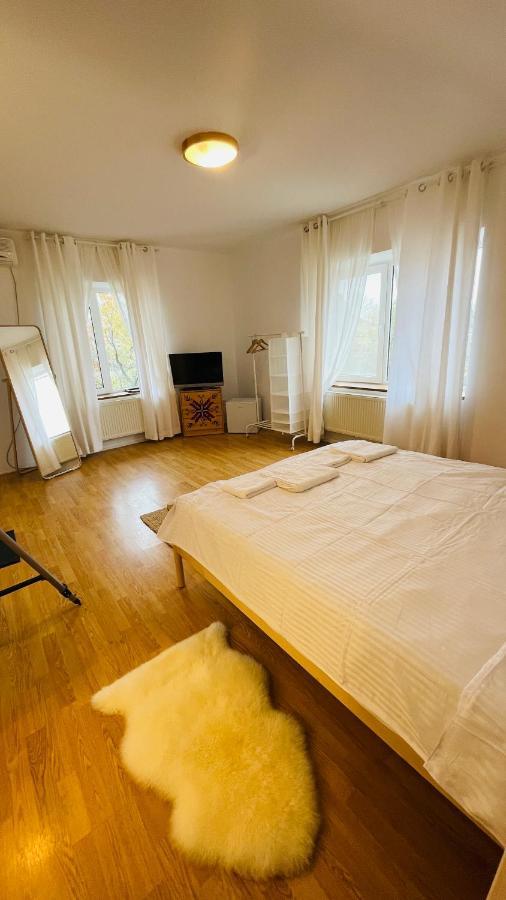 Biolocalia House Dobrogea Apartment Balotești Exterior foto