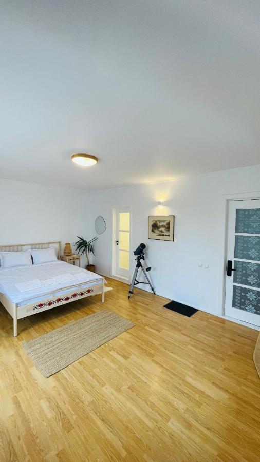 Biolocalia House Dobrogea Apartment Balotești Exterior foto